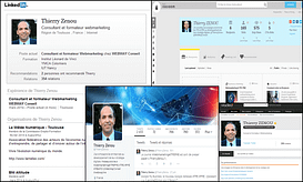 Profils sociaux Thierry Zenou
